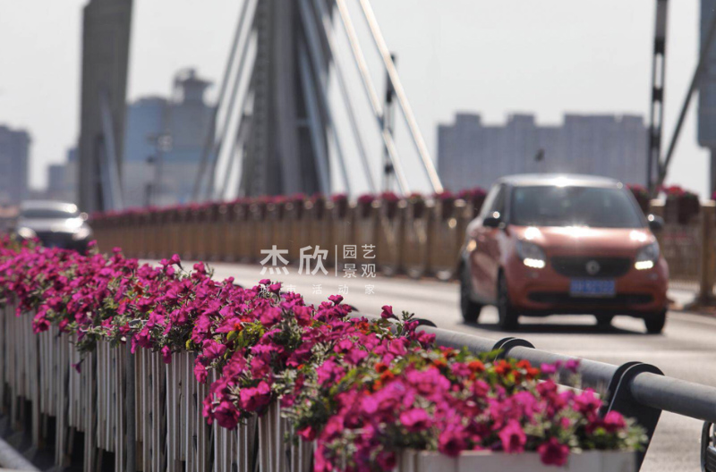 花箱尺寸如何確定？